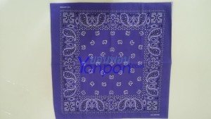 ผ้าเช็ดหน้า bandannas