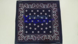ผ้าเช็ดหน้า bandannas