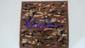 ผ้าเช็ดหน้า bandannas