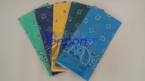 ผ้าเช็ดหน้า bandannas