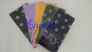ผ้าเช็ดหน้า bandannas