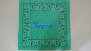 ผ้าเช็ดหน้า bandannas
