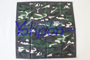 ผ้าเช็ดหน้า