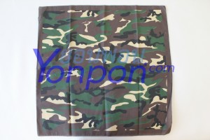 ผ้าเช็ดหน้า