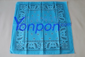 bandanna