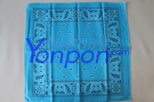 bandanna