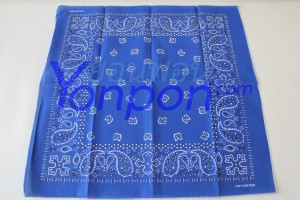 bandanna