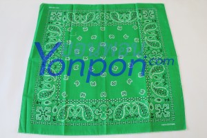 bandanna