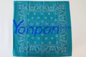 bandanna