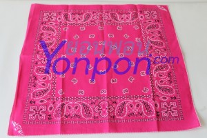 bandanna