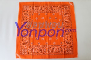 bandanna