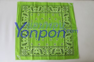 bandanna