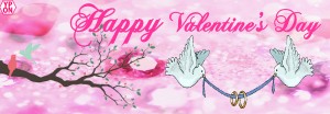 Happy Valentine's Day