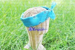 ผ้าเช็ดหน้า