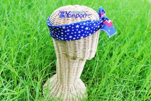 ผ้าเช็ดหน้า Bandana