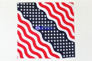 ผ้าเช็ดหน้า Bandana