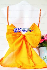 เสื้อ Bandana