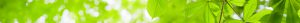 YP banner